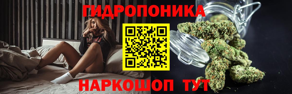 Шишки марихуана OG Kush Кирово-Чепецк